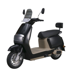 large__10_-removebg-preview