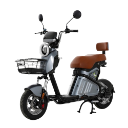 large__1_-removebg-preview