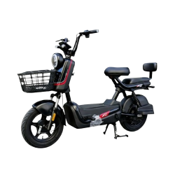 large__3_-removebg-preview