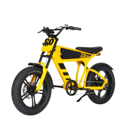 large__4_-removebg-preview