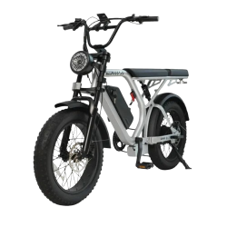 large__7_-removebg-preview