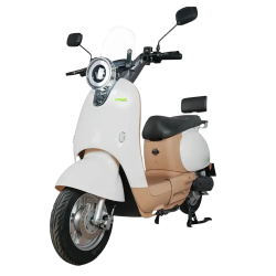 large__8_-removebg-preview